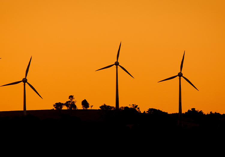 Renewables & New Energy